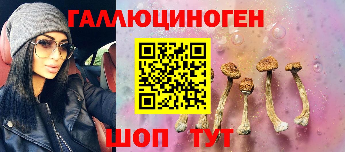 Галлюциногенные грибы Cubensis Карачаевск