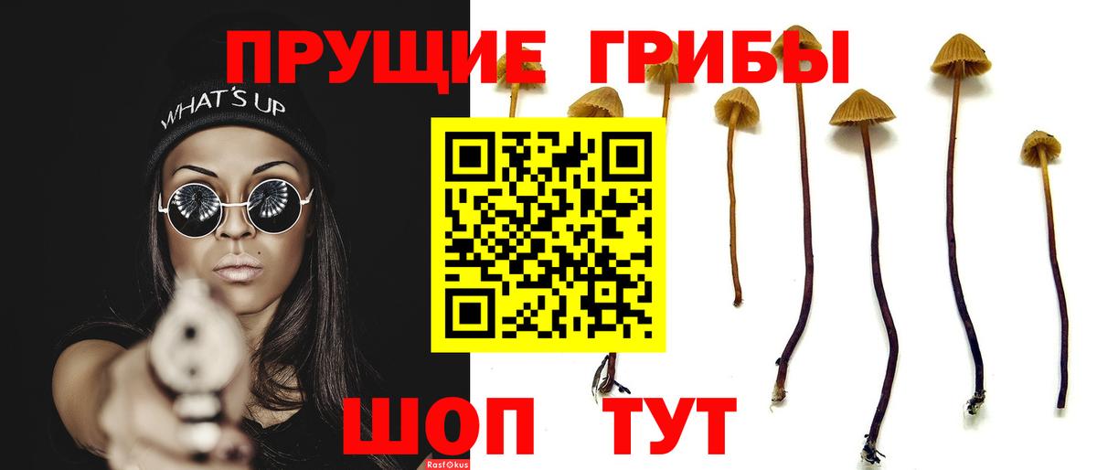 Карачаевск  Псилоцибиновые грибы Magic Shrooms  Вход с VPN  Галлюциногенные грибы MAGIC MUSHROOMS 